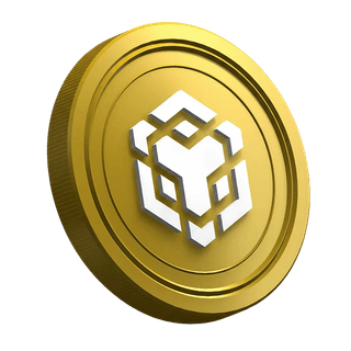 Guida per nuovi trader con la criptovaluta BNB in evidenza sulla pagina